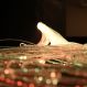 Causeway Sensory Super Safe Plastic Fibre Optics 2m x 100 Strands